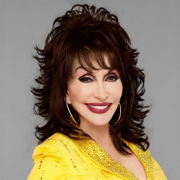 Brown Wig for Women Layered Natural Synthetic Curly Wigs Shoulder Length Hair wi